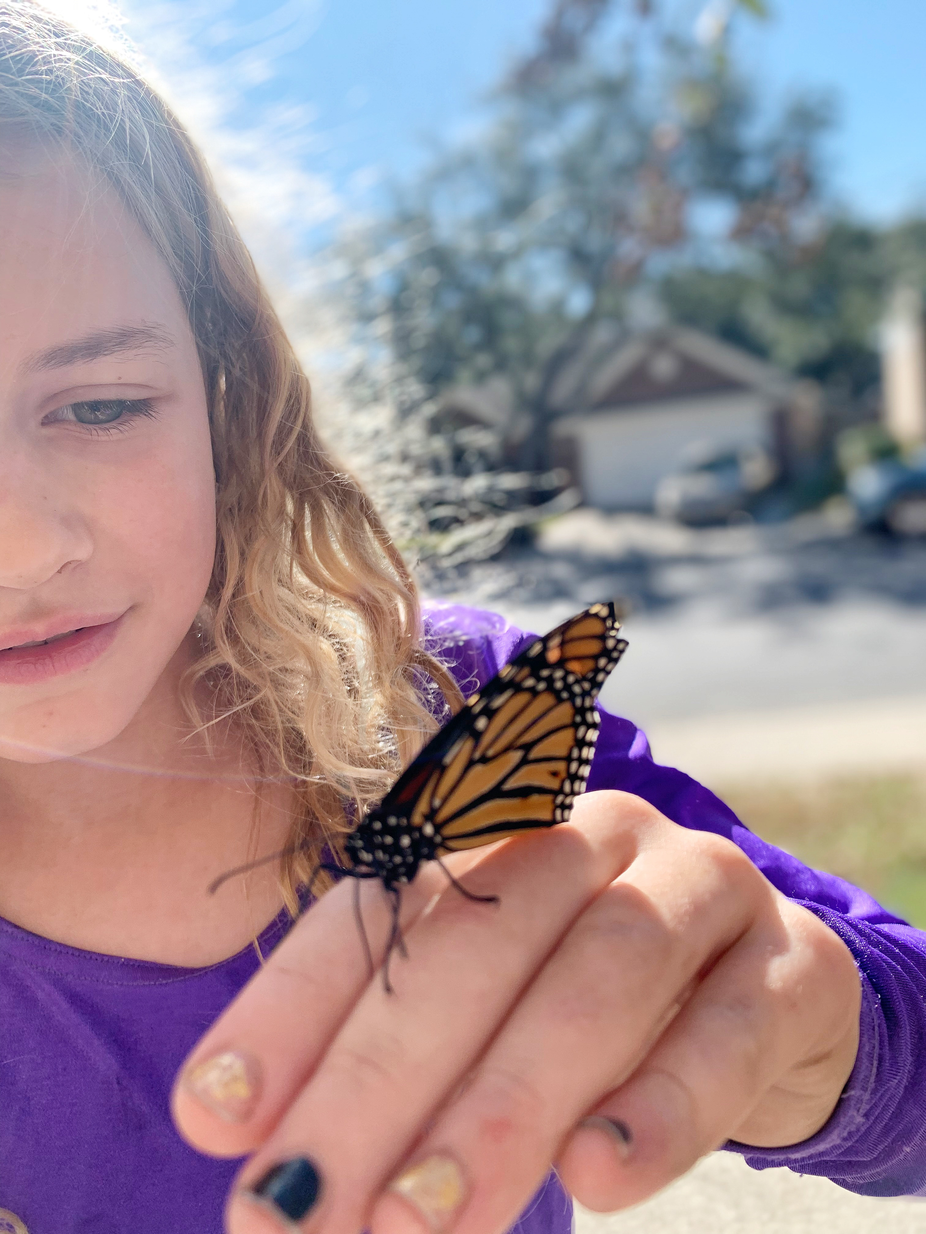 girl-holding-butterfly-monarch